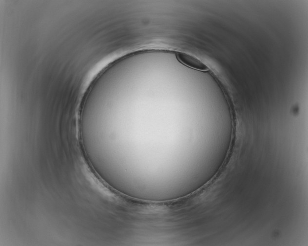 X0000116311238200912211916