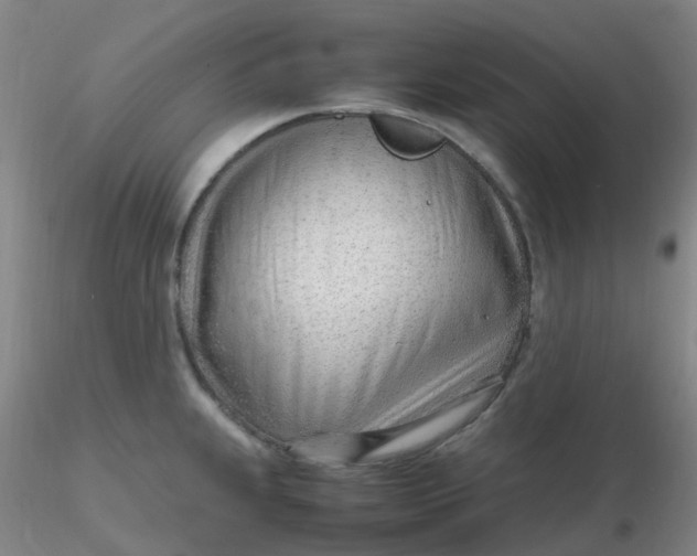 X0000116311239200912211916