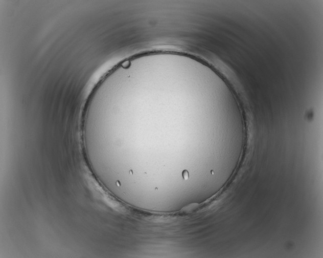 X0000116311240200912211916