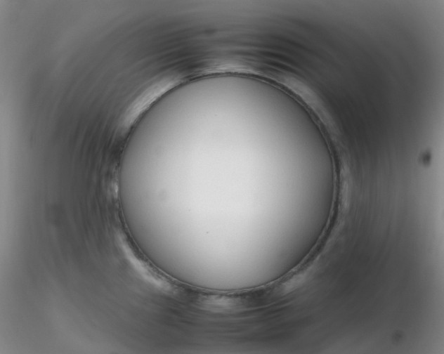 X0000116311241200912211916