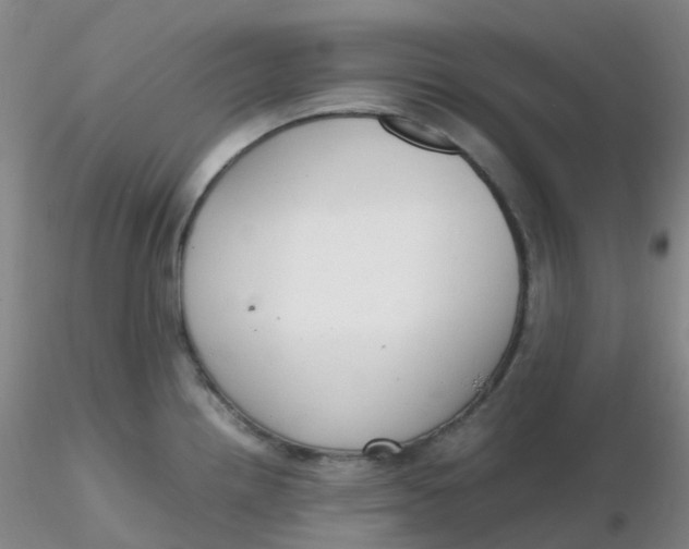 X0000116311242200912211916