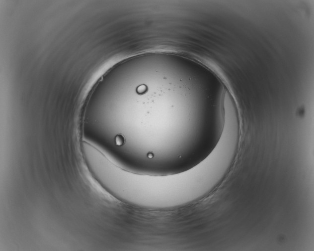 X0000116311243200912211916