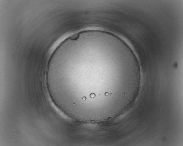 X0000116311245200912211916