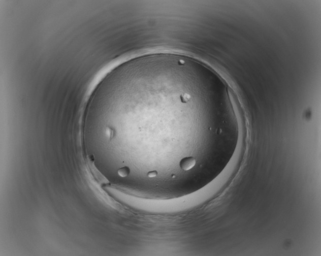 X0000116311246200912211916