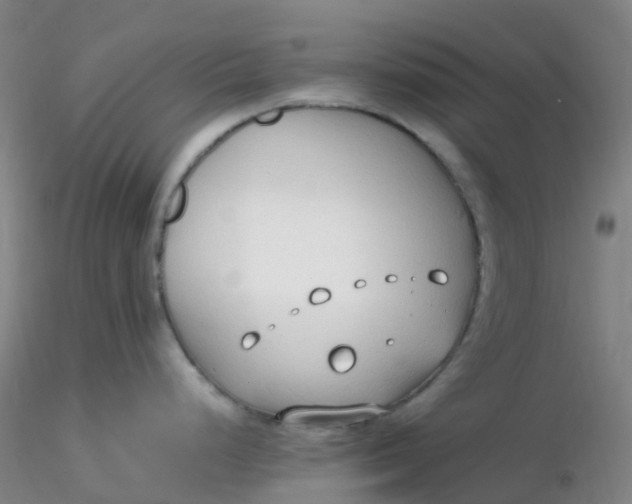 X0000116311248200912211916