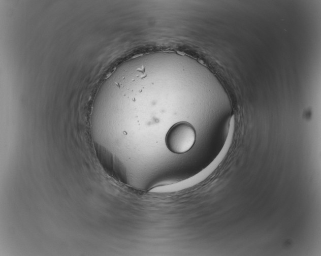 X0000116311249200912211915