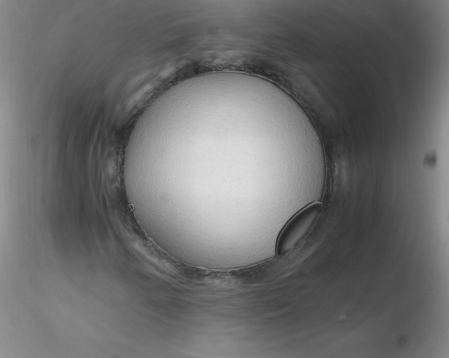 X0000116311250200912211915