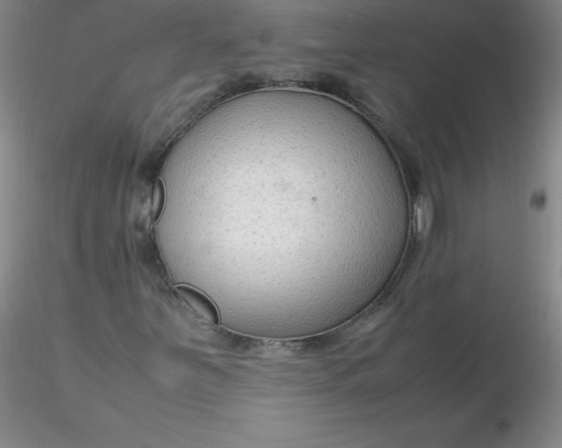 X0000116311251200912211915