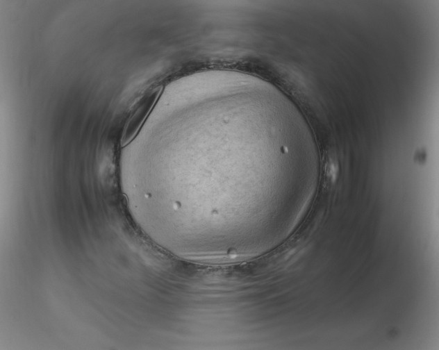 X0000116311252200912211915