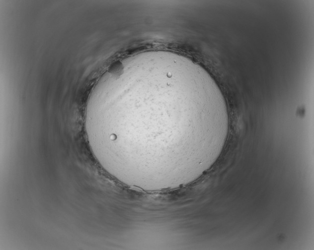 X0000116311253200912211915