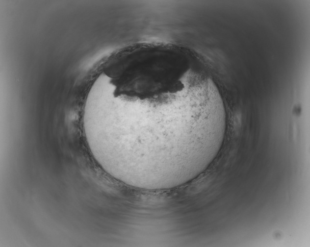 X0000116311254200912211915