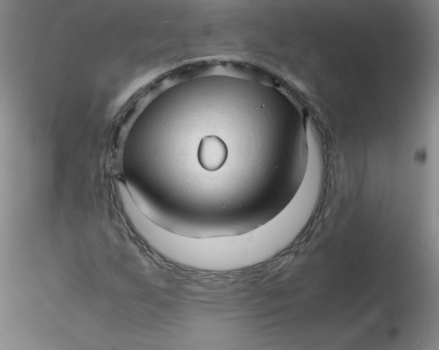 X0000116311255200912211915