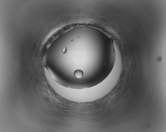 X0000116311256200912211915