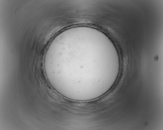 X0000116311257200912211915