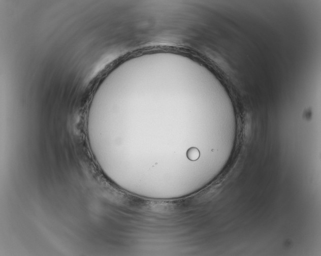 X0000116311258200912211915