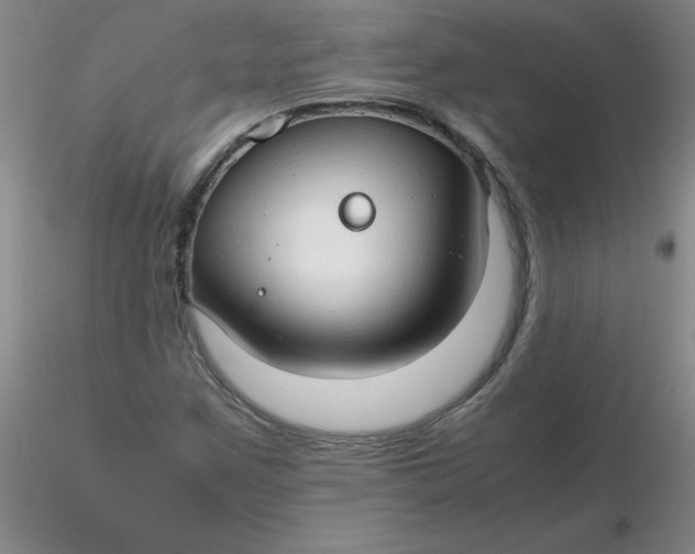 X0000116311259200912211915