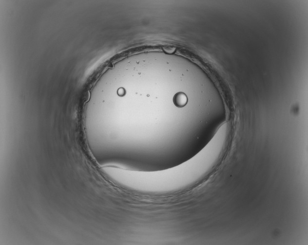 X0000116311261200912211915