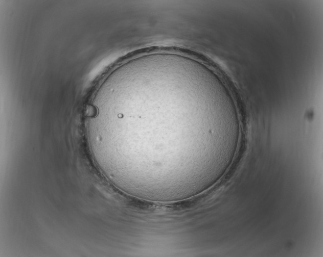 X0000116311263200912211915