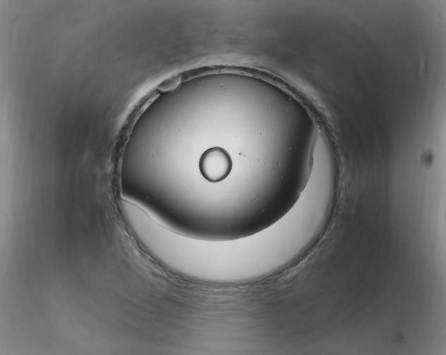 X0000116311264200912211915