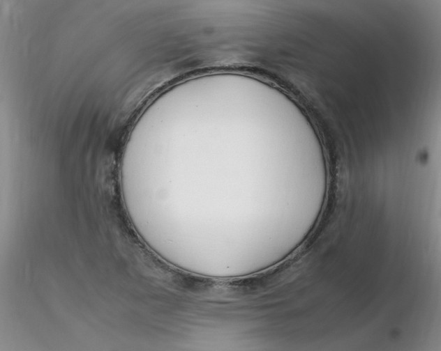 X0000116311265200912211915