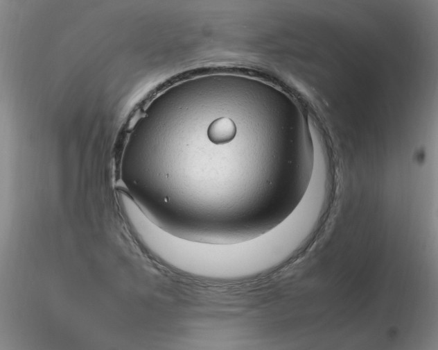 X0000116311267200912211915