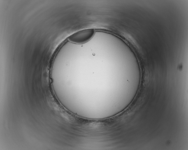 X0000116311268200912211915