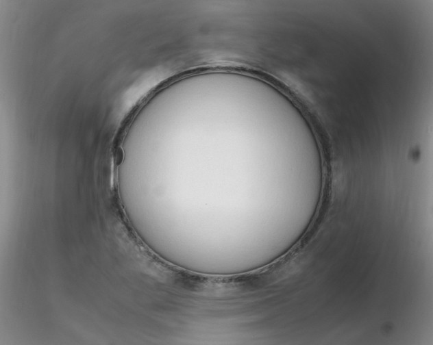 X0000116311269200912211915