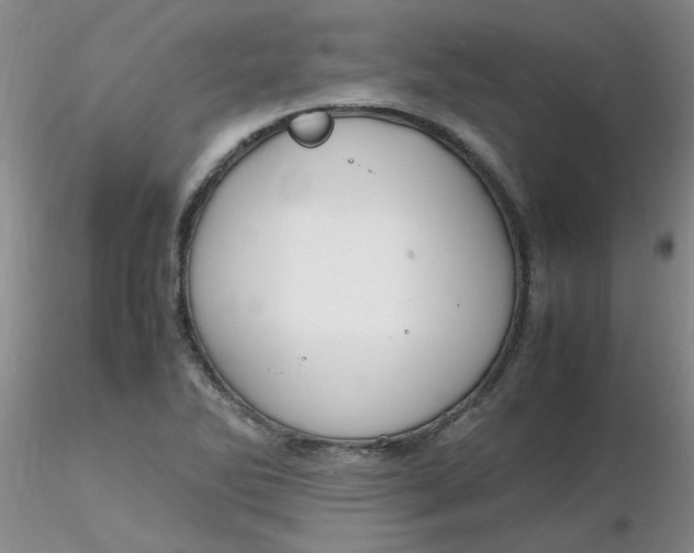 X0000116311270200912211915