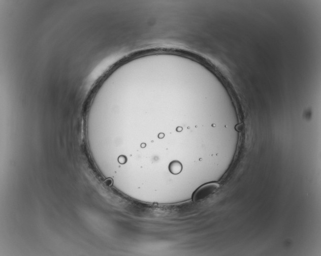 X0000116311271200912211915