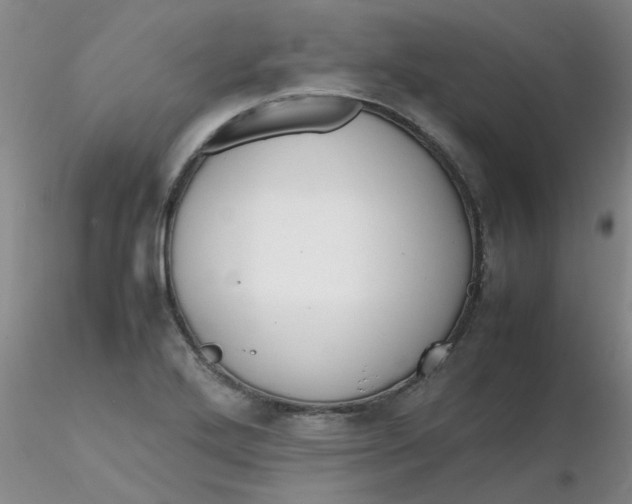 X0000116311272200912211915