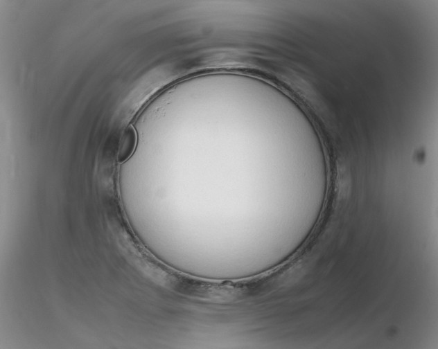 X0000116311273200912211915