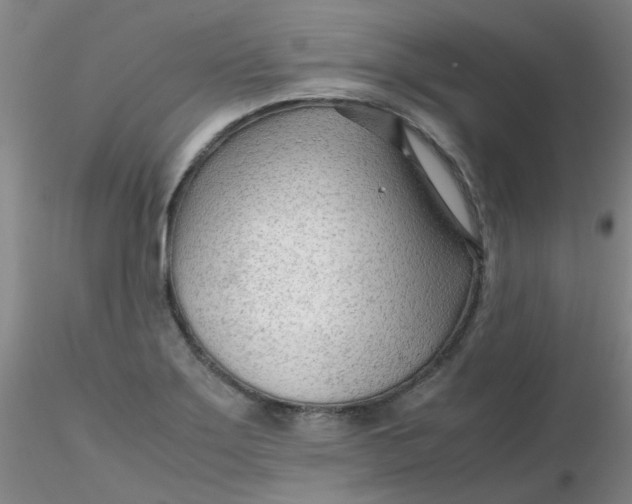 X0000116311275200912211915