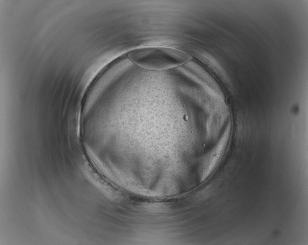 X0000116311276200912211915