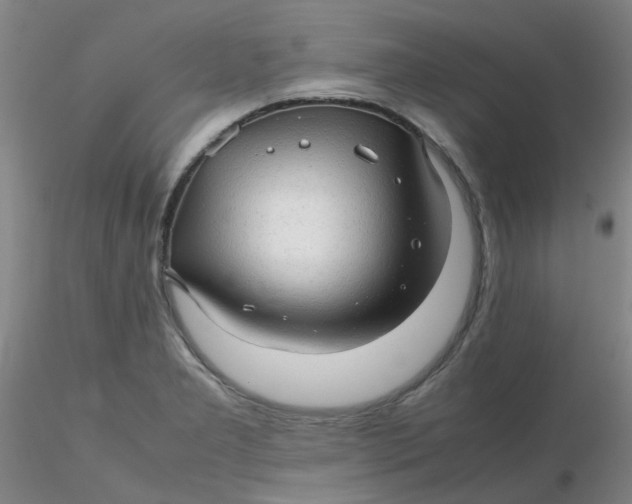 X0000116311277200912211915