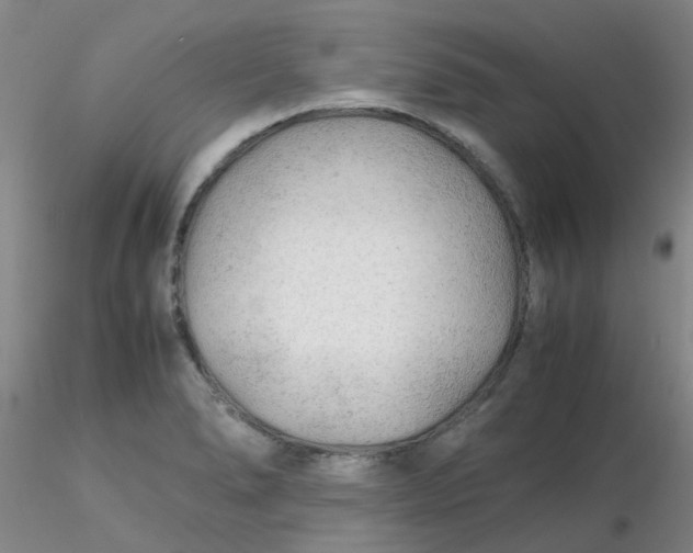 X0000116311278200912211915