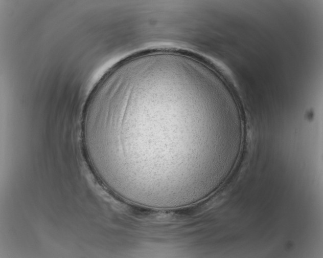 X0000116311279200912211915