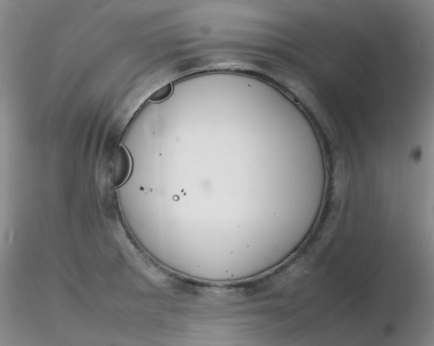 X0000116311281200912211915