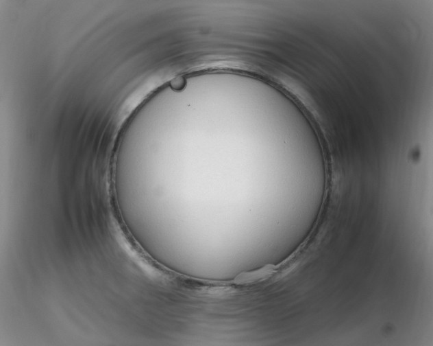 X0000116311282200912211915