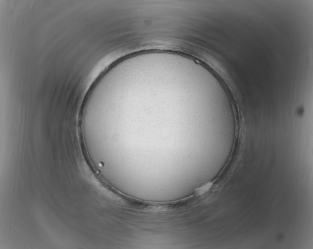 X0000116311283200912211915