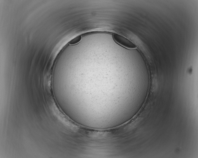 X0000116311284200912211915