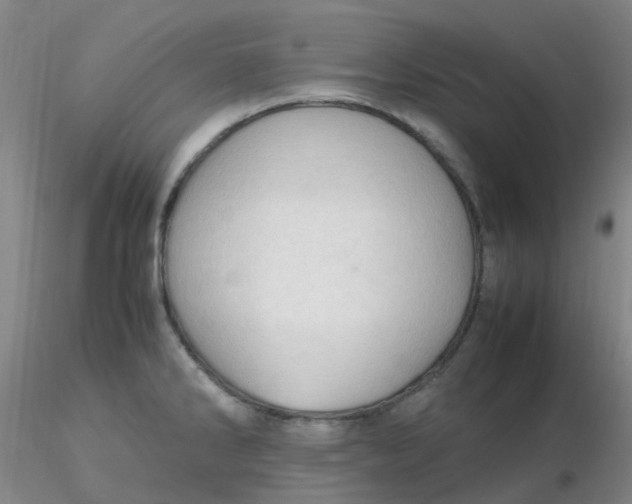 X0000116311286200912211915