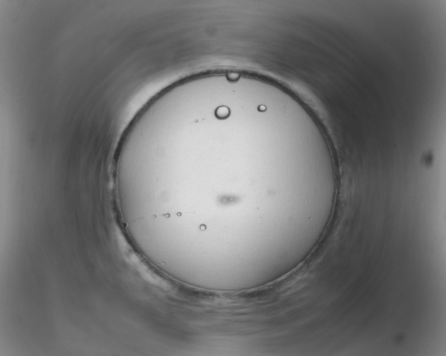 X0000116311287200912211914