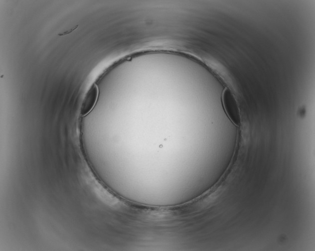 X0000116311288200912211914