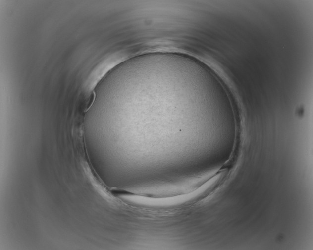 X0000116311289200912211914