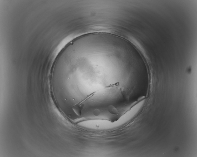 X0000116311291200912211914