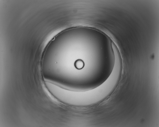 X0000116311293200912211914