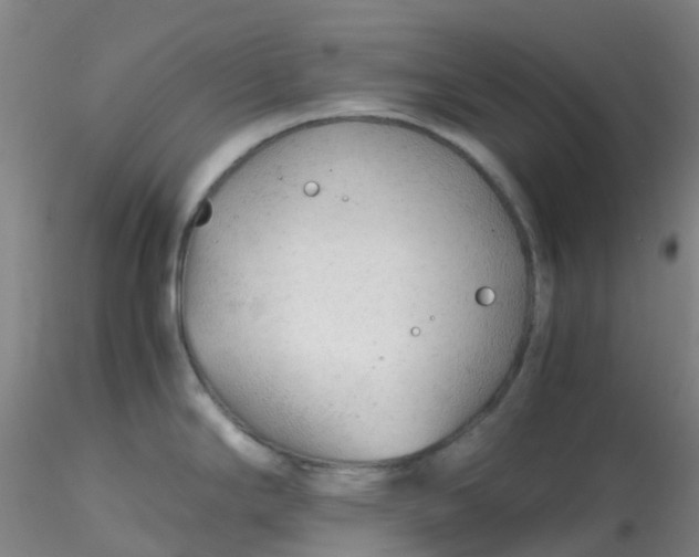 X0000116311294200912211914