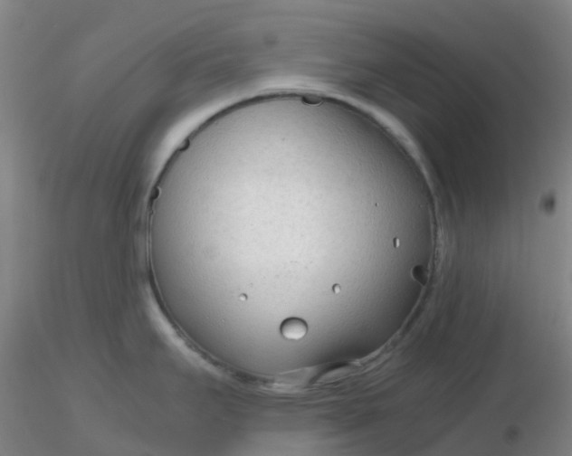 X0000116311295200912211914