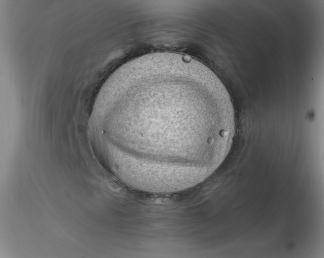 X0000116311297200912211914