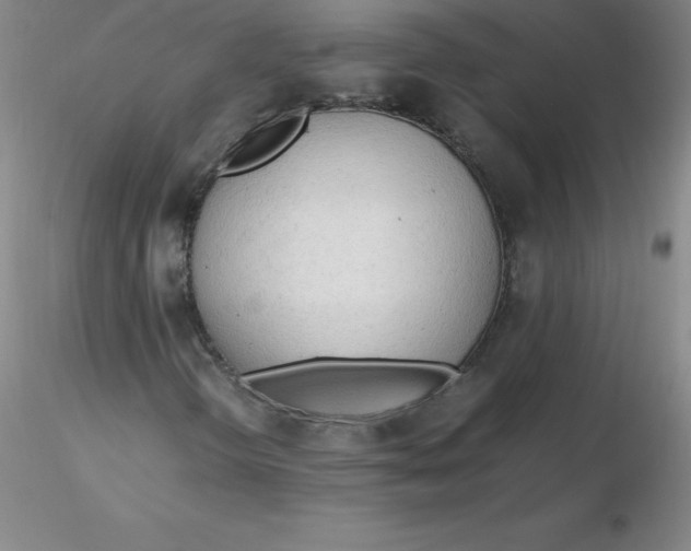 X0000116311298200912211914